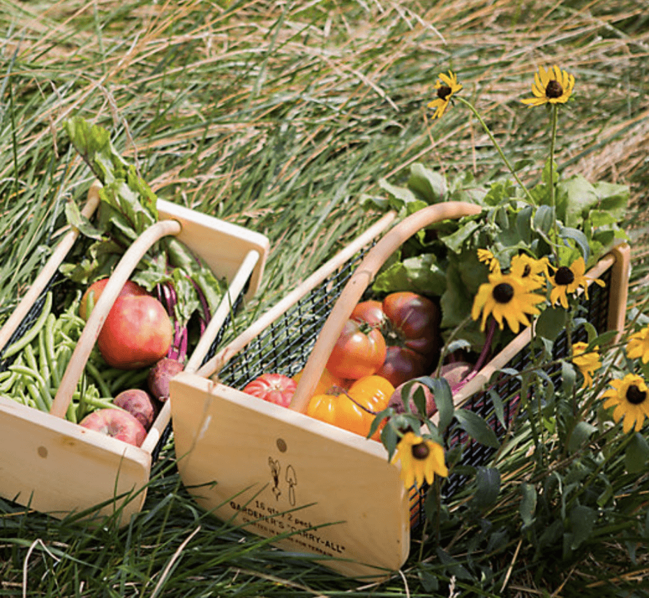 Gardener's Harvest Basket